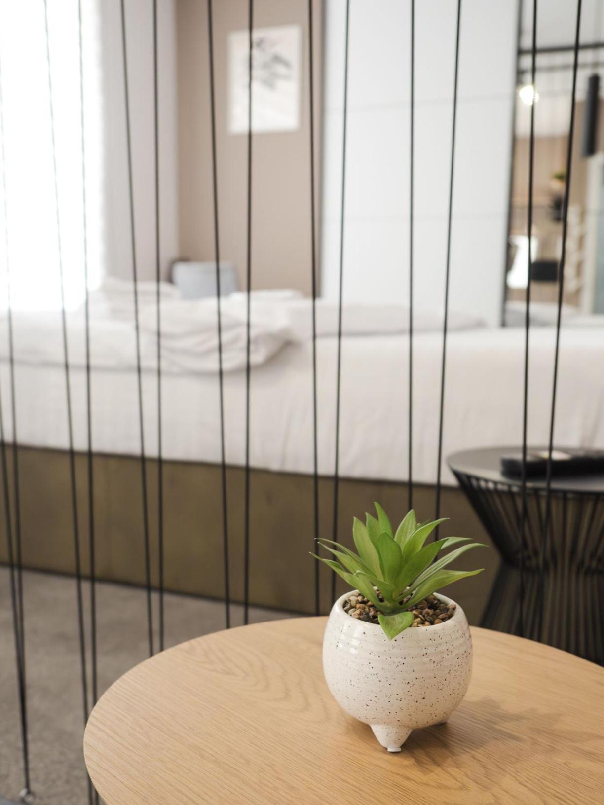 Gavas Cozy Studios Central David Prodan Cluj-Napoca Exteriör bild